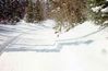 Filename=grouse2.jpg
Filesize=43KB
Dimensions=869x570
Date added=Nov 01, 2006 grouse2.jpg