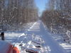 Filename=DSCF2336.JPG
Filesize=95KB
Dimensions=640x480
Date added=Nov 15, 2006 DSCF2336.JPG